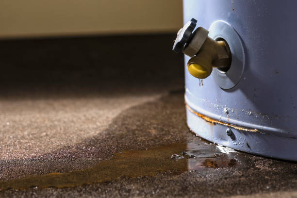 Best 24/7 water damage repair  in Parkland, FL