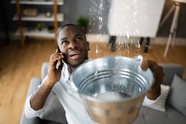 Best Water damage restoration process  in Parkland, FL