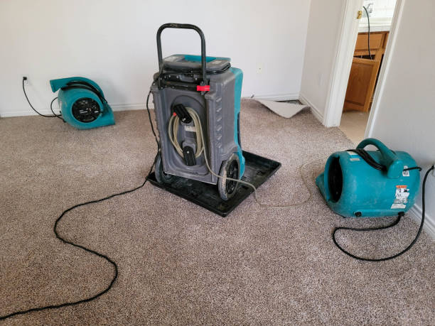 Best Fire Damage Restoration  in Parkland, FL