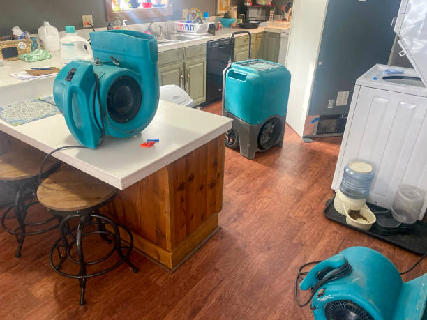 Best Water damage cleanup near me  in Parkland, FL