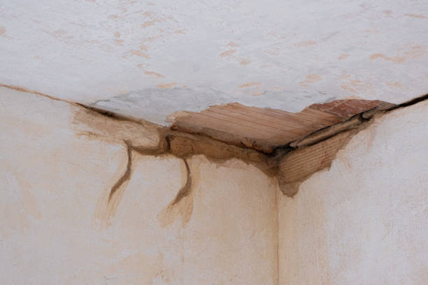 Best Water damage restoration near me  in Parkland, FL