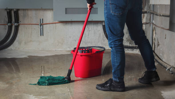 Best Flood damage cleanup  in Parkland, FL