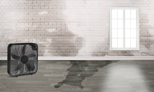 Best Water damage restoration services  in Parkland, FL