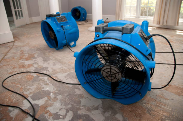 Best Basement water damage restoration  in Parkland, FL