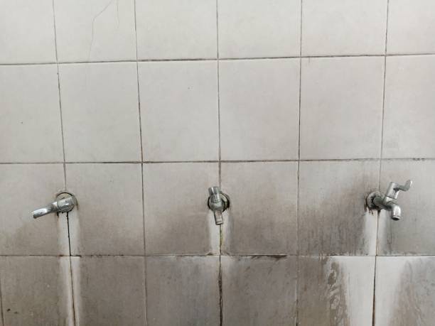 Best Water damage restoration near me  in Parkland, FL