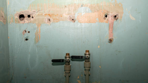 Best Mold removal after water damage  in Parkland, FL