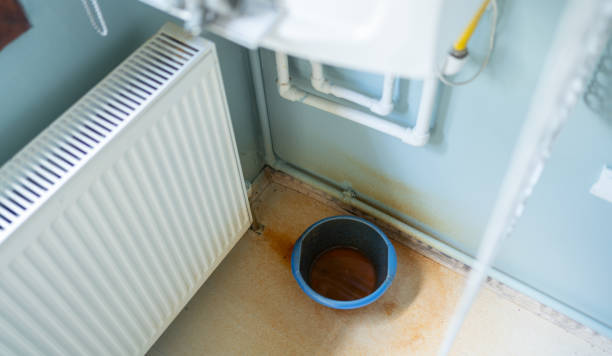 Best Flooded house restoration  in Parkland, FL