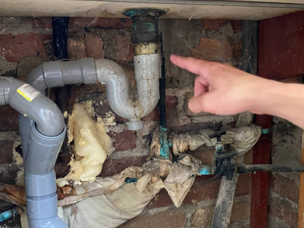 Best Local water damage restoration  in Parkland, FL