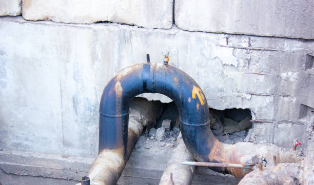 Best Water damage restoration near me  in Parkland, FL