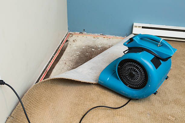 Best Emergency water damage restoration  in Parkland, FL